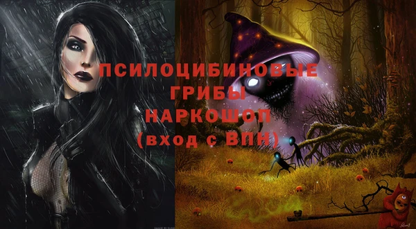 эйфоретик Переславль-Залесский